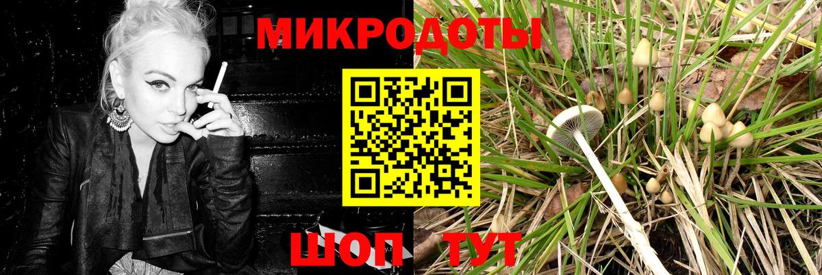 купить закладку  Вход с VPN  Малгобек  Галлюциногенные грибы Psilocybine cubensis 